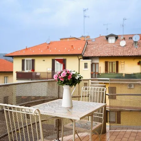Azalea - Radice Comfort - Leonardo, Mxp&laghi Sesto Calende